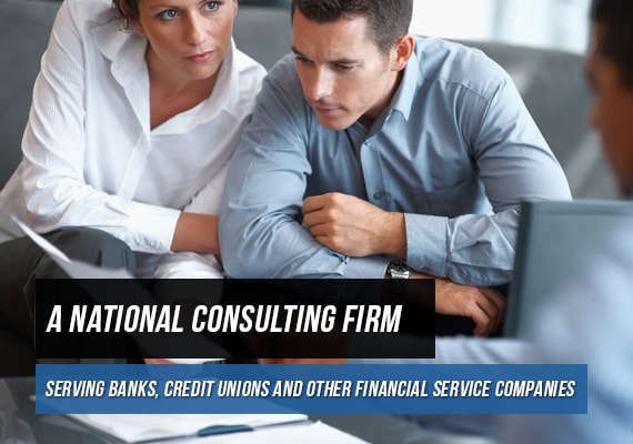 Credit Union Consultant